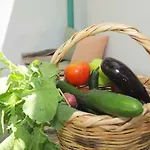 Spring Bliss Garden House Skopelos