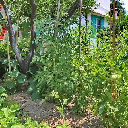 Spring Bliss Garden House