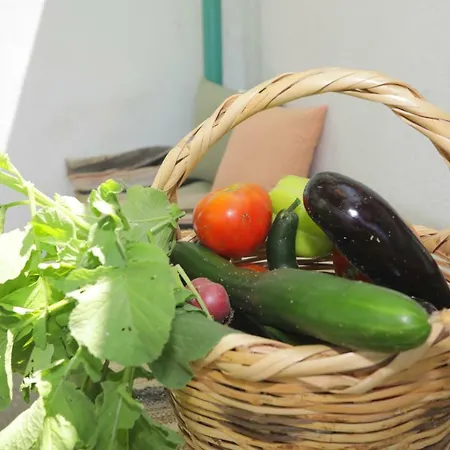 Spring Bliss Garden House Skopelos Town