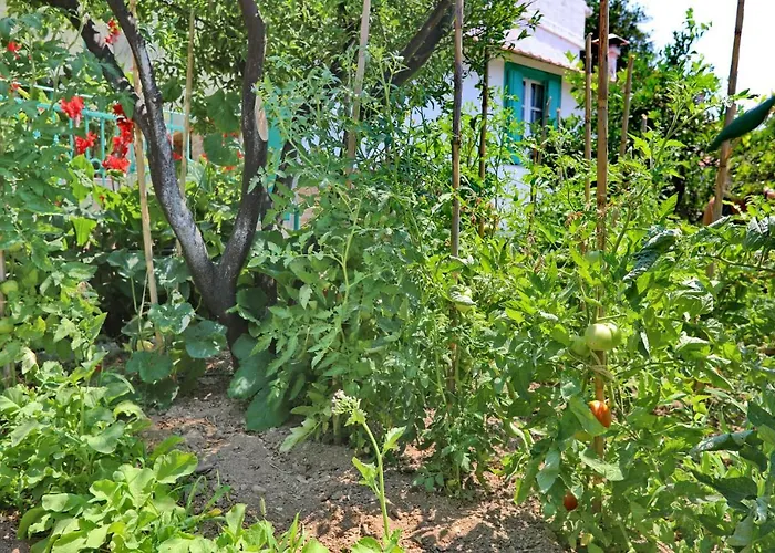 Spring Bliss Garden House